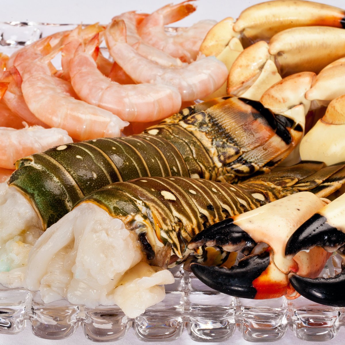 FrancescasFav's tweet photo. Francesca’s Favorites is now @PetersFLSeafood! Follow for fresh dock-to-door seafood from Peter Jarvis’s new retail shop for the home chef &amp; order sustainable seafood in less than 24 hours at any size order. Free overnight shipping for orders over $100! https://t.co/bFyFfpMkWd https://t.co/eMIuoHeiTK