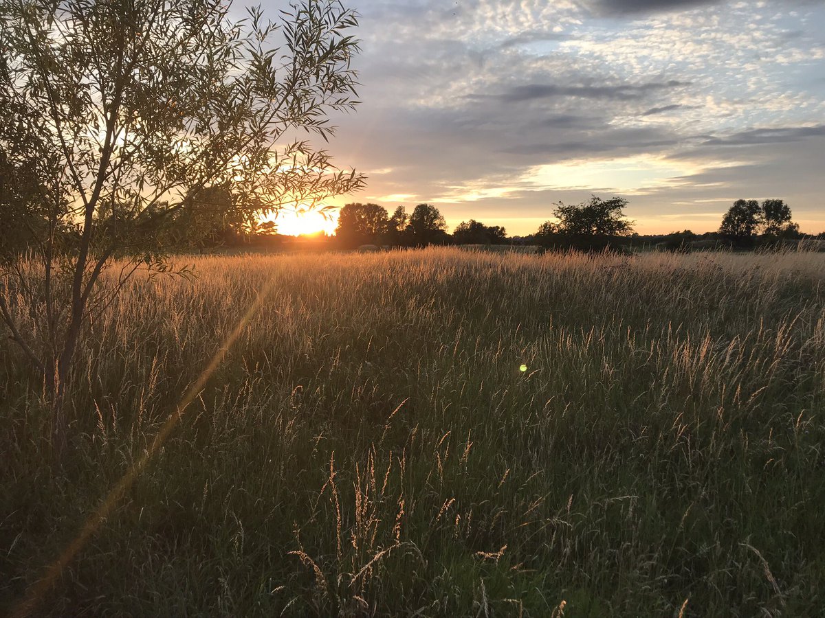 mfunnell73's tweet photo. @RedbridgeLive Fairlop Waters this evening. https://t.co/KX5wW8dcVK