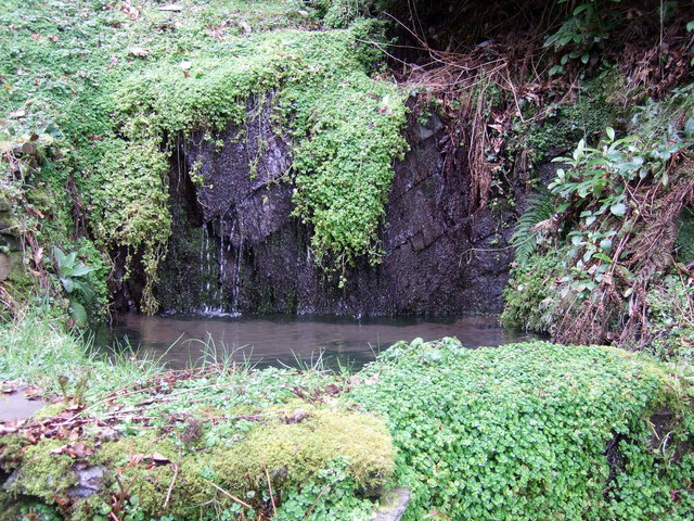 Saint Celer was a hermit. He lived in a cave near Ffynnon Geler (the Holy Well of St Celer), Plasgeler. The well was renowned for its healing properties, and was said to be visited by "such a concourse of people that no fair in Wales can equal it in multitude."