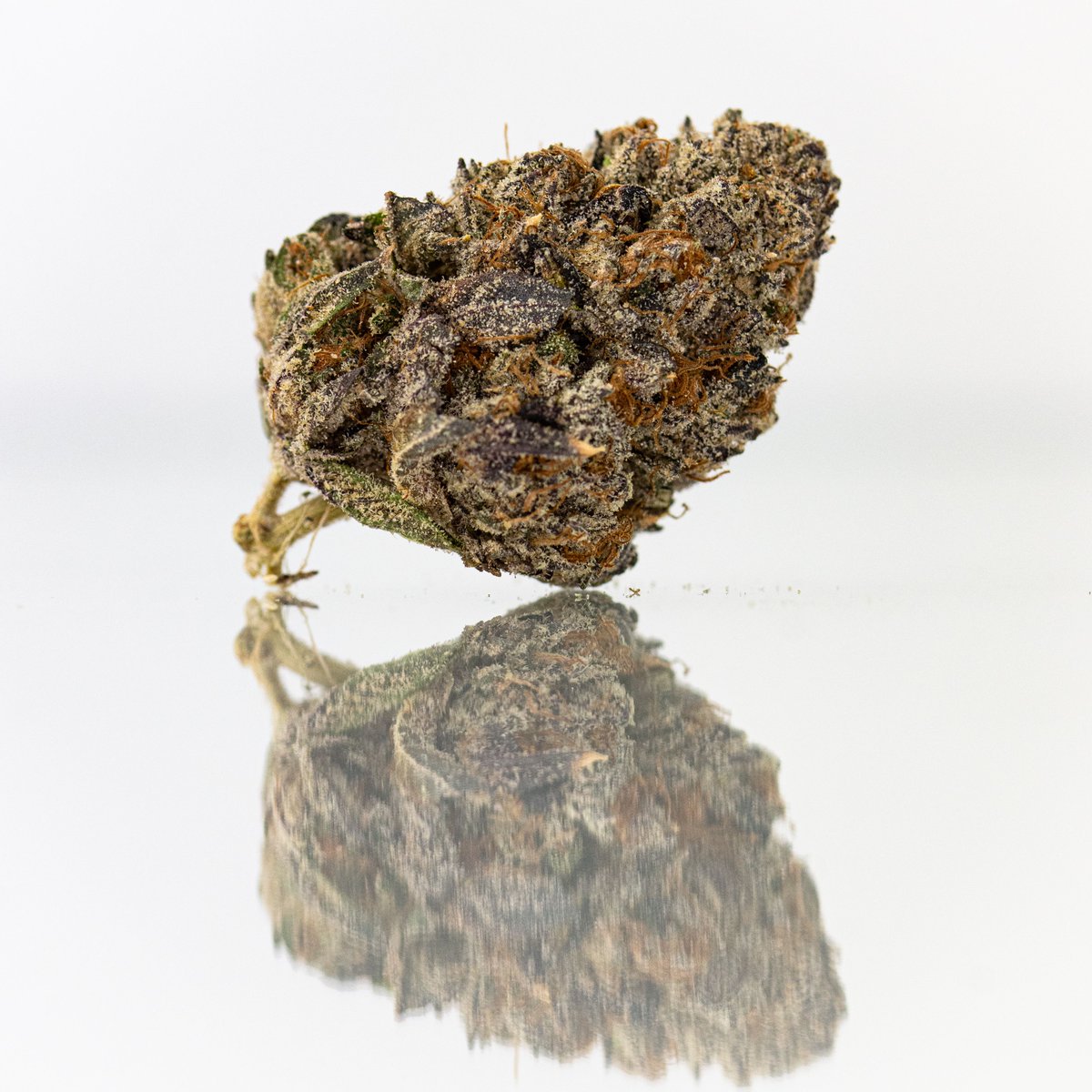 ArCannaMichigan's tweet photo. A beautiful shot of Bully Kush grown by Healing Organic Garden. They really know how to bring the gas...with a little hint of mint. #weed #stonerlife #michigandispensary #420 #weedlife #MEDonly #michigandispo @healingorganicgarden https://t.co/bntAX6gBGn