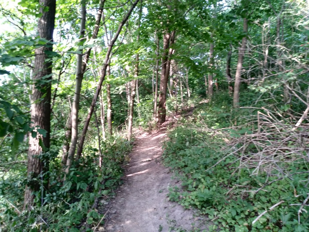 exploretofit's tweet photo. It was definitely a hilly 12 km route tonight for MRAC group 1's hike. Starting at Broadview &amp; Danforth and finishing at Yonge &amp; St. Clair. 

#TorontoCardio #TorontoFitness #TorontoExercise #TorontoWalking #TorontoHiking #TorontoSocial #MRAC #MidtownRaviners https://t.co/C4G4IE14qw