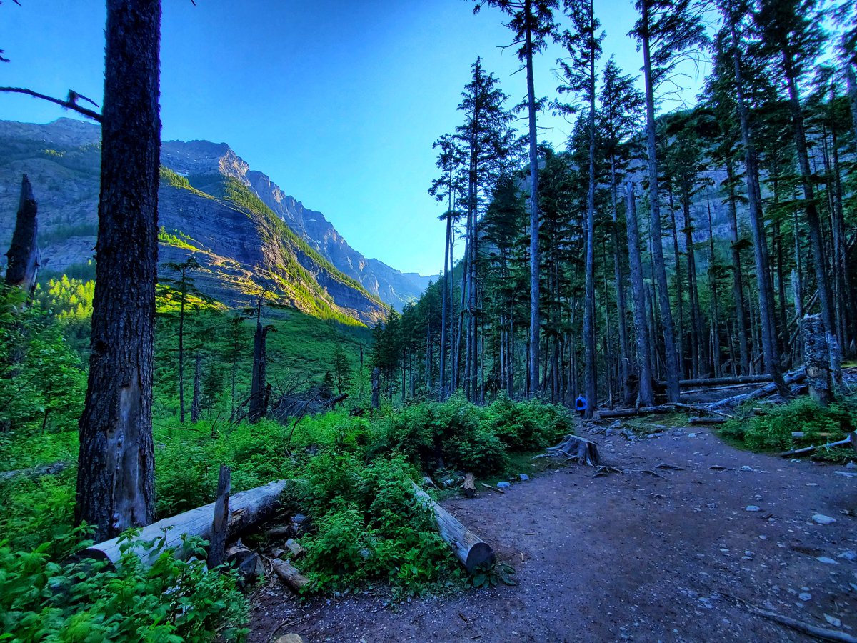 IsenbargerMolly's tweet photo. Avalanche Lake with the sun coming up over the mountain. https://t.co/0z1RKDFYYM