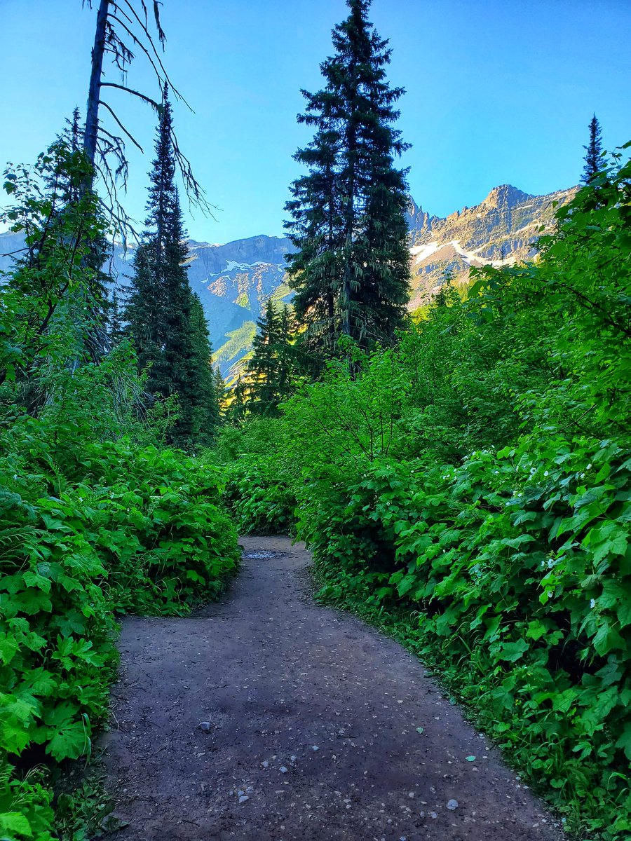 IsenbargerMolly's tweet photo. Avalanche Lake with the sun coming up over the mountain. https://t.co/0z1RKDFYYM