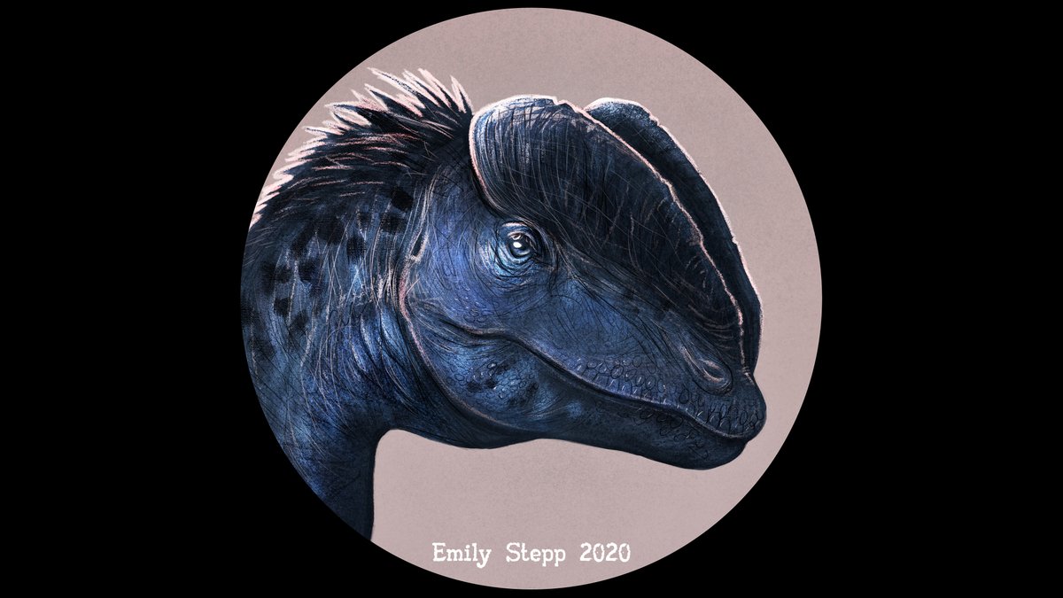 Emily_Art's tweet image. Made myself a quick Dilophosaurus icon. Speed paint - youtu.be/PurOYqCzHkw