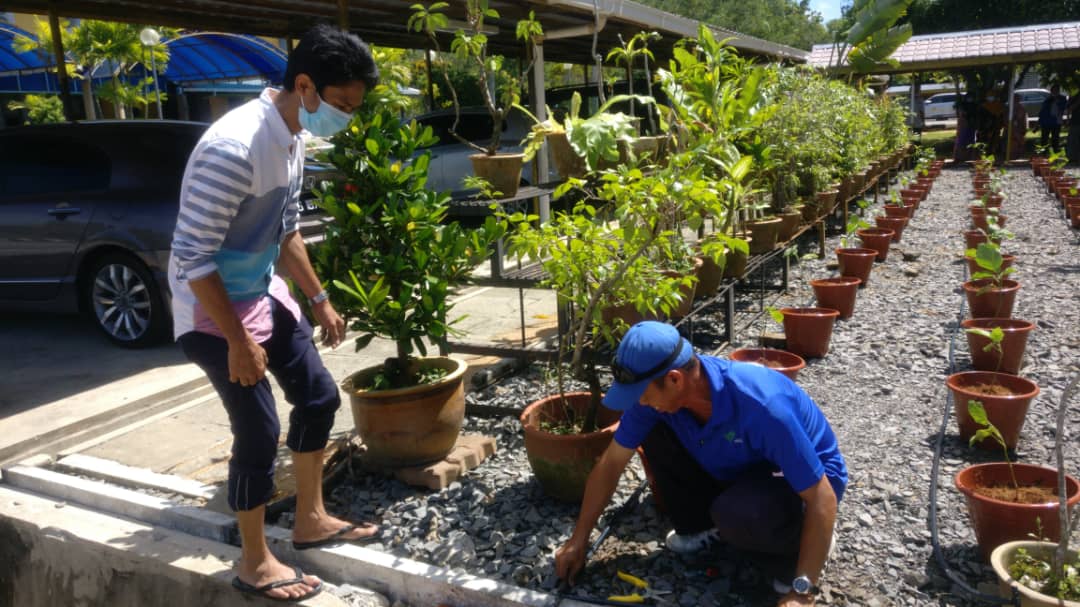JKRLabuan's tweet photo. Program kolaborasi dengan Jabatan Pertanian WP Labuan berkaitan kaedah penanaman lada dan terung pada 15/7/2020 di sekitar IPJKR WP Labuan. #NBOS #StayGreenStayHealthy #TeamSpirit #JabPertanianWPL @JKRMalaysia https://t.co/qLCf8EmV9n