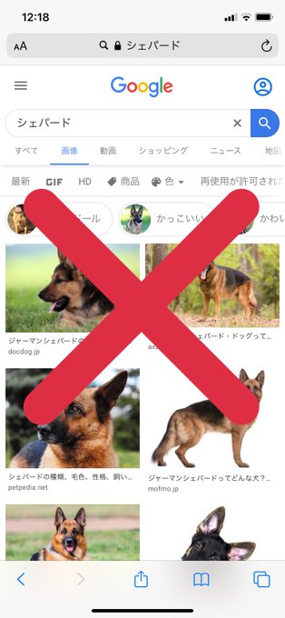 シェパードのtwitterイラスト検索結果 シェパードのtwitterイラスト検索結果