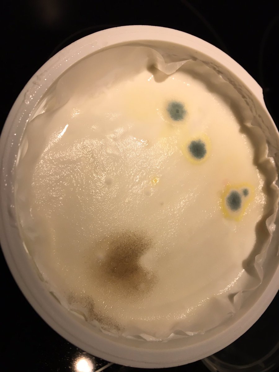edh47742004's tweet photo. @FAGEUSA I regard your yogurt as one of my favorites, but was sad when I opened a brand new container and found mold 😕 https://t.co/6oPbtj67dx