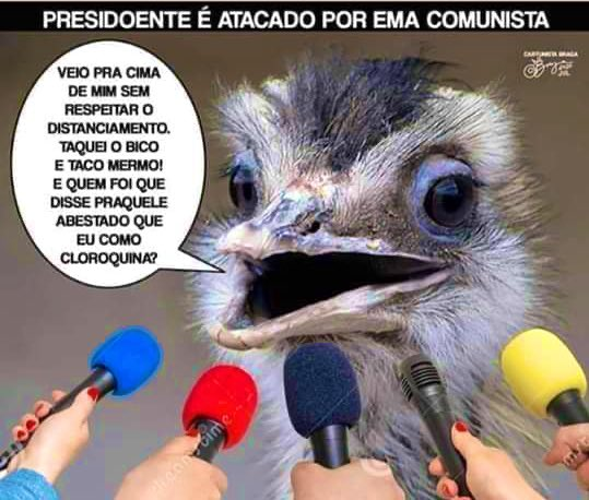 EmaDoAlvorada's tweet photo. https://t.co/n5Z7WuB8Ji