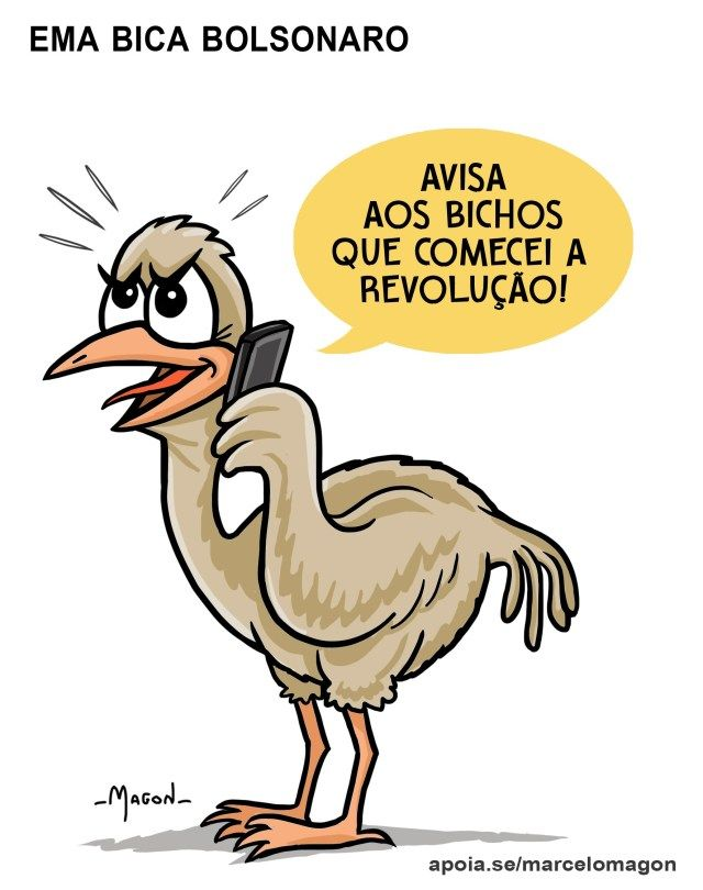 EmaDoAlvorada's tweet photo. https://t.co/ATIBr5x9Gk