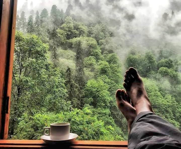 Dimiya_jr's tweet photo. Feel the freedom 🌿
#Freedom_⚡❤️
#morningvibes_🌬️🌀
#🕊️ https://t.co/SCB3zrFJ5I