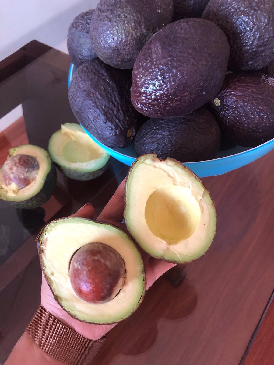 dayameedina's tweet photo. amigos de Bogotá, 2kg del mejor aguacate hass en 10k! 🥑 https://t.co/nZScgGpPkX