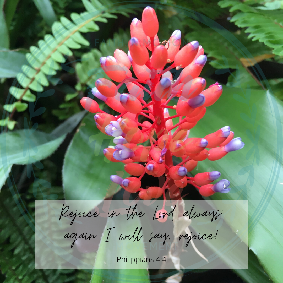 fhlmovementorg's tweet photo. Have you counted your blessings lately? God is so good in all that He does because He does it out of love for us.
#faithhopelovemovement #faithhopelove #faith #hope #love #godisgood #peace #christianliving #christianpost #awesomegod #amazinggrace #unendinglove  #jesusiswonderful https://t.co/1IRXjfJURS
