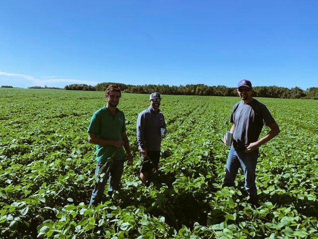 rempel_shawn's tweet image. Hey @donmclean14, Steve got a smile out of you! I'd be smiling to if those were my beans! #Maxus #IPSoy looking great! @DoubleDiamondAg has done an excellent job with their producers! #keepemclean #profitabilitypartner @Prograin_inc
