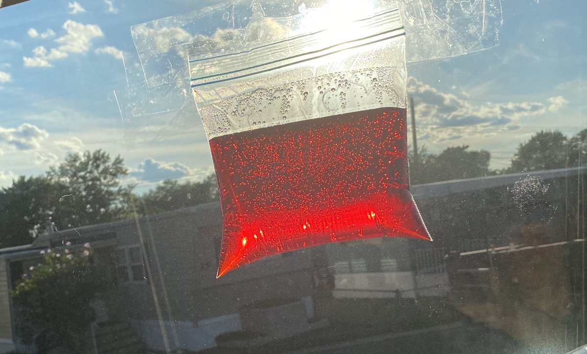 MantiRenee's tweet photo. @Science_in_K been up for awhile but we see a difference already! https://t.co/bua4Ferg5I