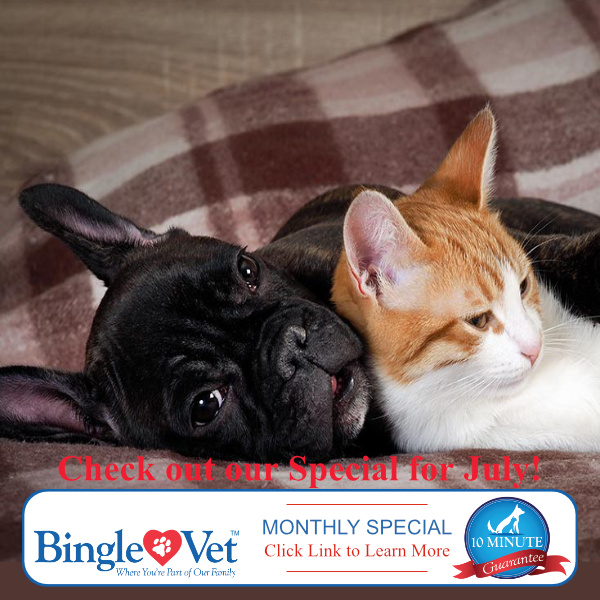 BingleVet's tweet photo. Don't forget about our Monthly Special - Save Today! #Savings #BingleVet #PetSpecials
https://t.co/6gKSiIjobk https://t.co/bHmQakaEaB
