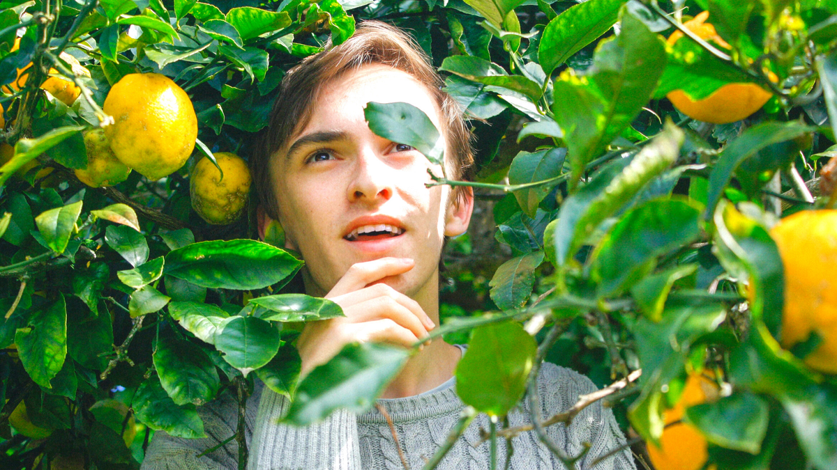 chromagarden.com/quando-a-vida-…

#hub #experienciadoconsumidor #negocios #poscovid #relacionamento #negociosonline #negociosdigitais #negociosonline #hubdigital #chromablog #chromagarden