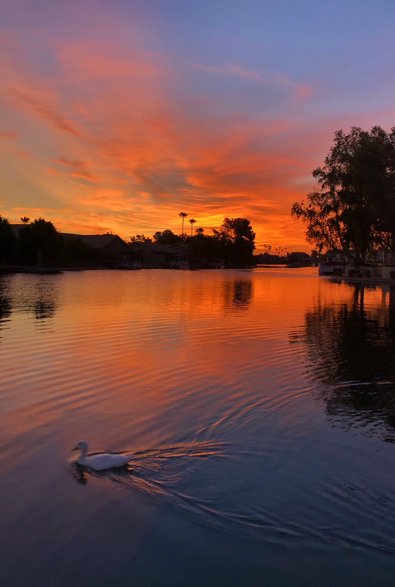 Marce_AZ's tweet photo. Getting up early to run is not so bad with this view. 🌅👌🏼 I love our AZ sunrises! #NAFlagvisor #RunderfulRunners #StartlineRacing #AZSunrise #LifeInAZ #RunHappy #ClubSLR #AZSunriseSeries https://t.co/MJzMC6I1Rp