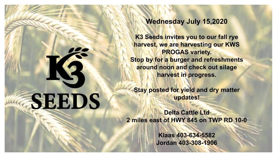 K3 Seeds tweet media