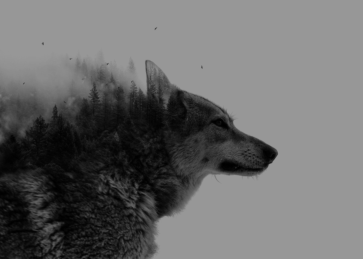 archillect's tweet photo. https://t.co/Wfl8VSBBCx