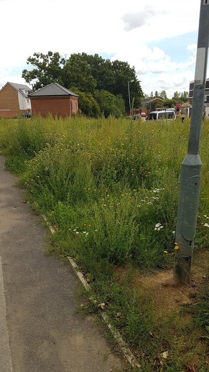 Sheila Thompson tweet media