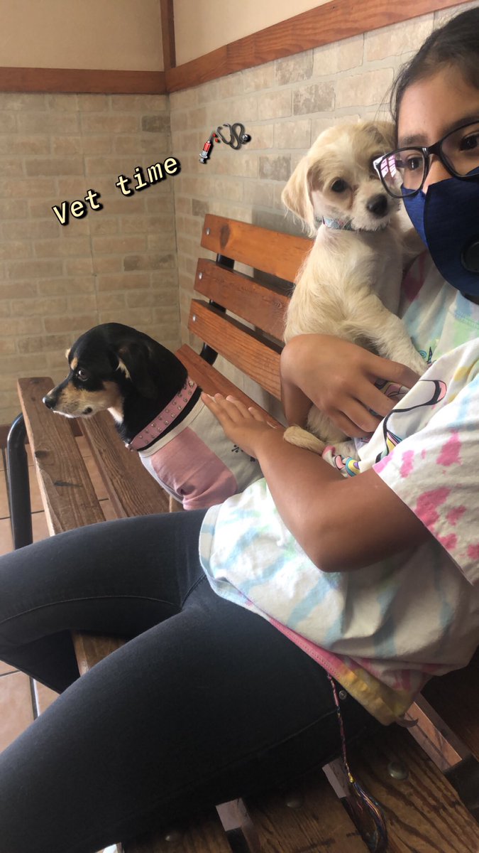 andychavez_'s tweet photo. Las mascotas  d cada 🐶🐶 Mia &amp; Bella ❤️ https://t.co/LM6tXlXTwx