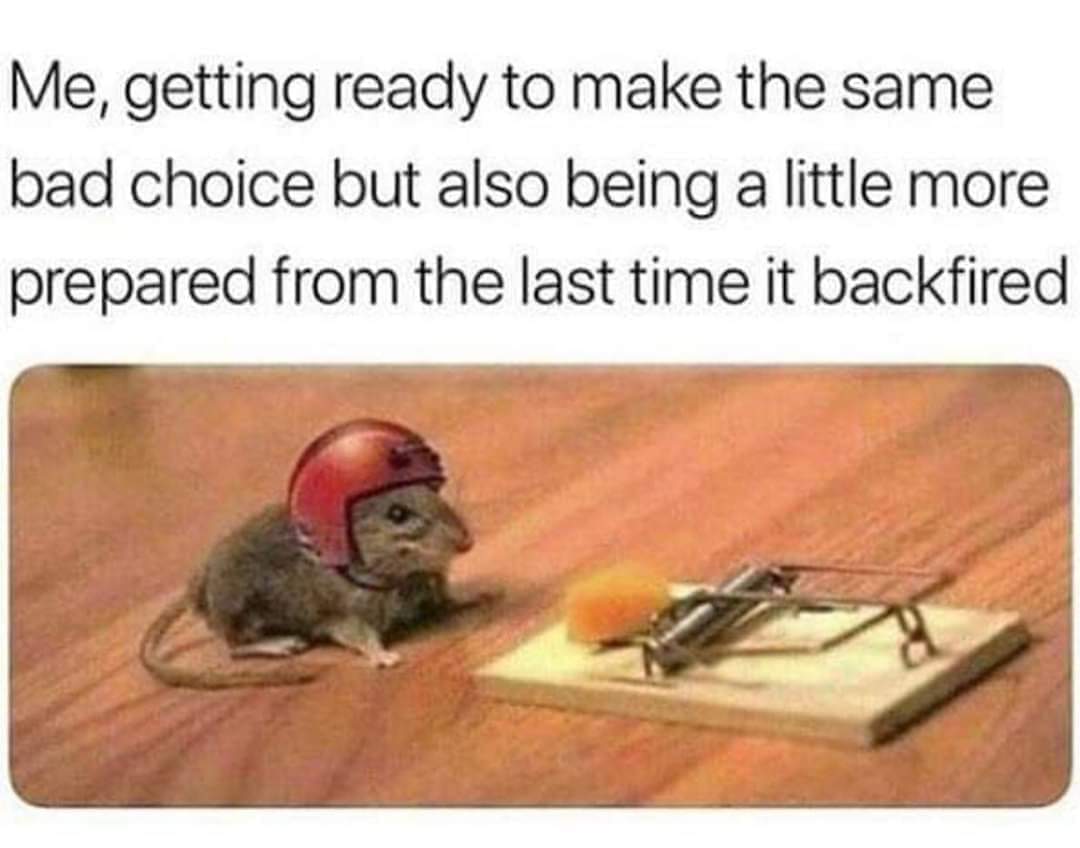 SquirrelonTO's tweet image. 