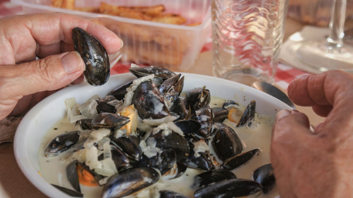 MaraiSnack's tweet photo. P'tit retour en photo sur notre soirée spéciale pour la Fête Nationale, ce 14 Juillet ! 🇫🇷

De nombreux vacanciers et des locaux venus se remémorer le bon goût des moules locales sans oublier de savourer les frites maison... https://t.co/PrqSBEpEiq