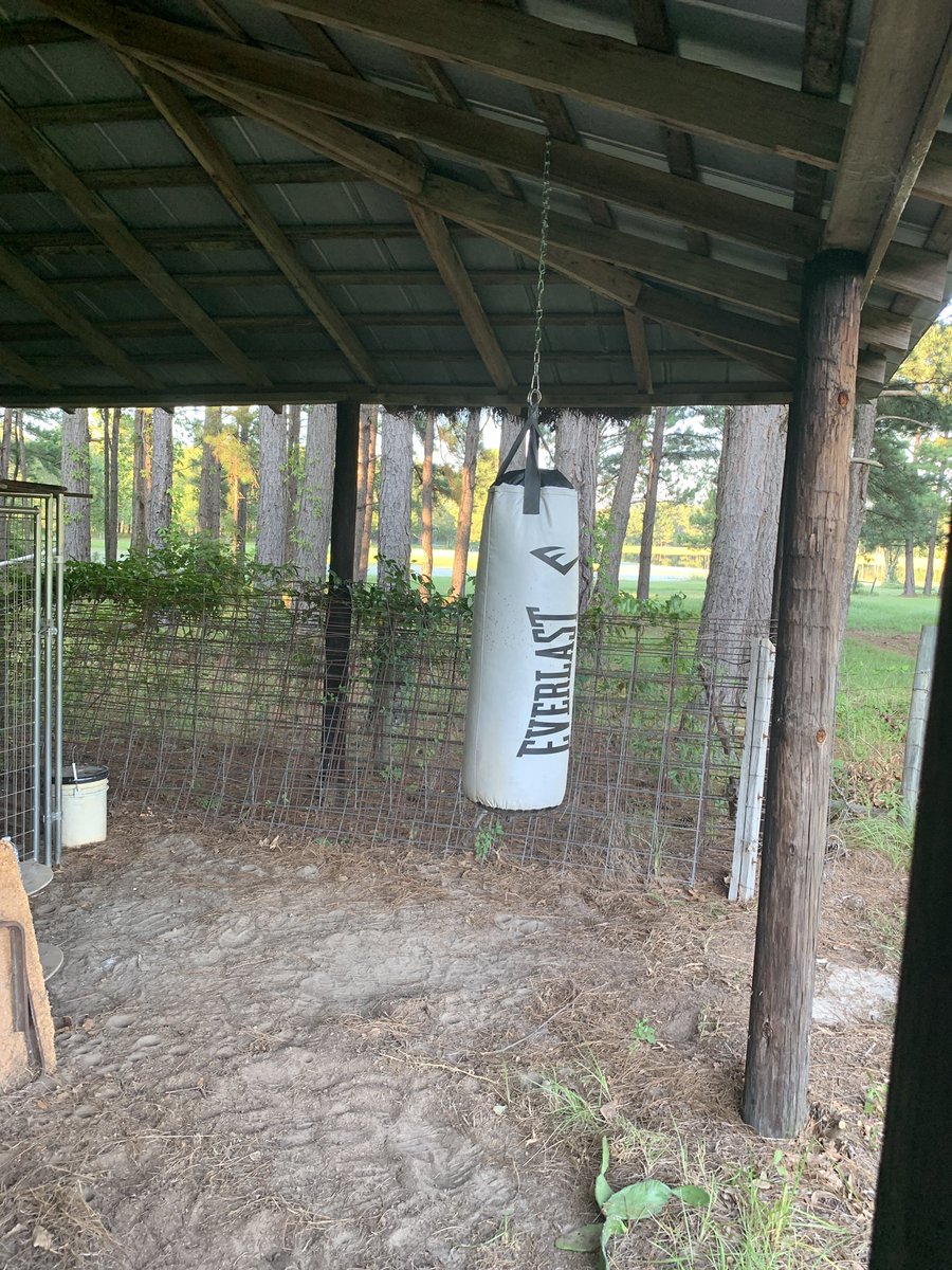 JanieAtlanta's tweet photo. In spite of the heat I ran 2.2 miles. Did a boxing workout mixed into the running at intervals. And I wrote a scene in my #novel. #producticity #progress #NoPainNoGain #amwriting #runchat https://t.co/5AjKKRGdRb