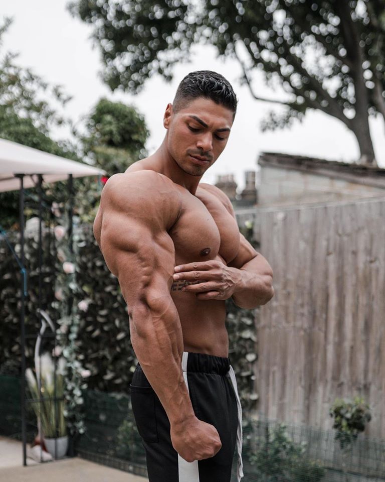 All Of Fitness And Bodybuilding (@abzarkamel1) / Twitter All Of Fitness And Bodybuilding (@abzarkamel1) / Twitter
