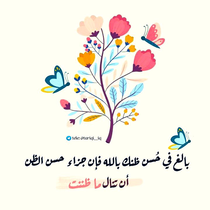 iig8tp's tweet photo. #الاخبار_الحلوه

﮼ولا،تيأسوا،من،روح،الله🤍🌿. https://t.co/7gWNT1ISJI