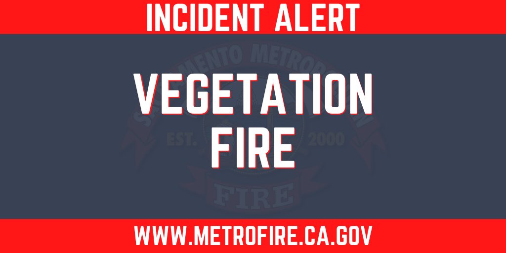 metrofirepio's tweet photo. #MetroFire is o/s of a #vegetationfore on Excelsior Rd near #DierksRd in #vineyard. ~ 1 acre, moderate rate of spread, & no structures are threatened. https://t.co/7b8cyRqqNt