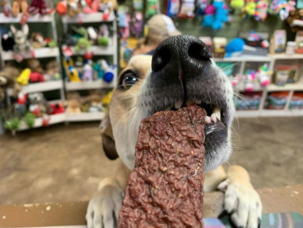 HappyHowiesInc's tweet photo. Lu’sea says @happyhowies jerky is absolute BLISS ( #📷 @auntkerrys )
#happyhowies #treats #dogtreats #trainerpreferred #allnatural #madeinusa #picoftheday #dogoftheday #treatsgalore #doglovers #woof #dog #repost https://t.co/PswO0CQIIc