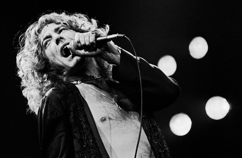 Rock Paper Photo tweet media