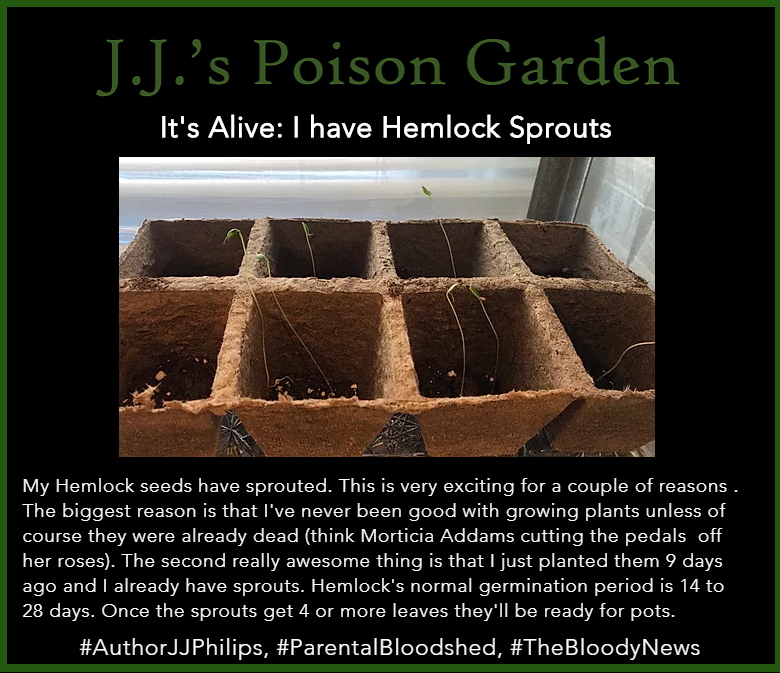 AuthorPhilips's tweet photo. #5yrsofbloodshed,#AuthorJJPhilips,#Deadly,#DeadlyPlants,#Etsy,#HomeGarden,#JJRecommends,#JJsPoisonGarden,#bloodsplatter,#garden,#gardening,#horror,#indoorgarden,#indoorgardening,#itsjjphilips,#jjphilips,#parentalbloodshed,#poisongarden,#reading,#thebloodynews,#writer https://t.co/vhWZCncgWR