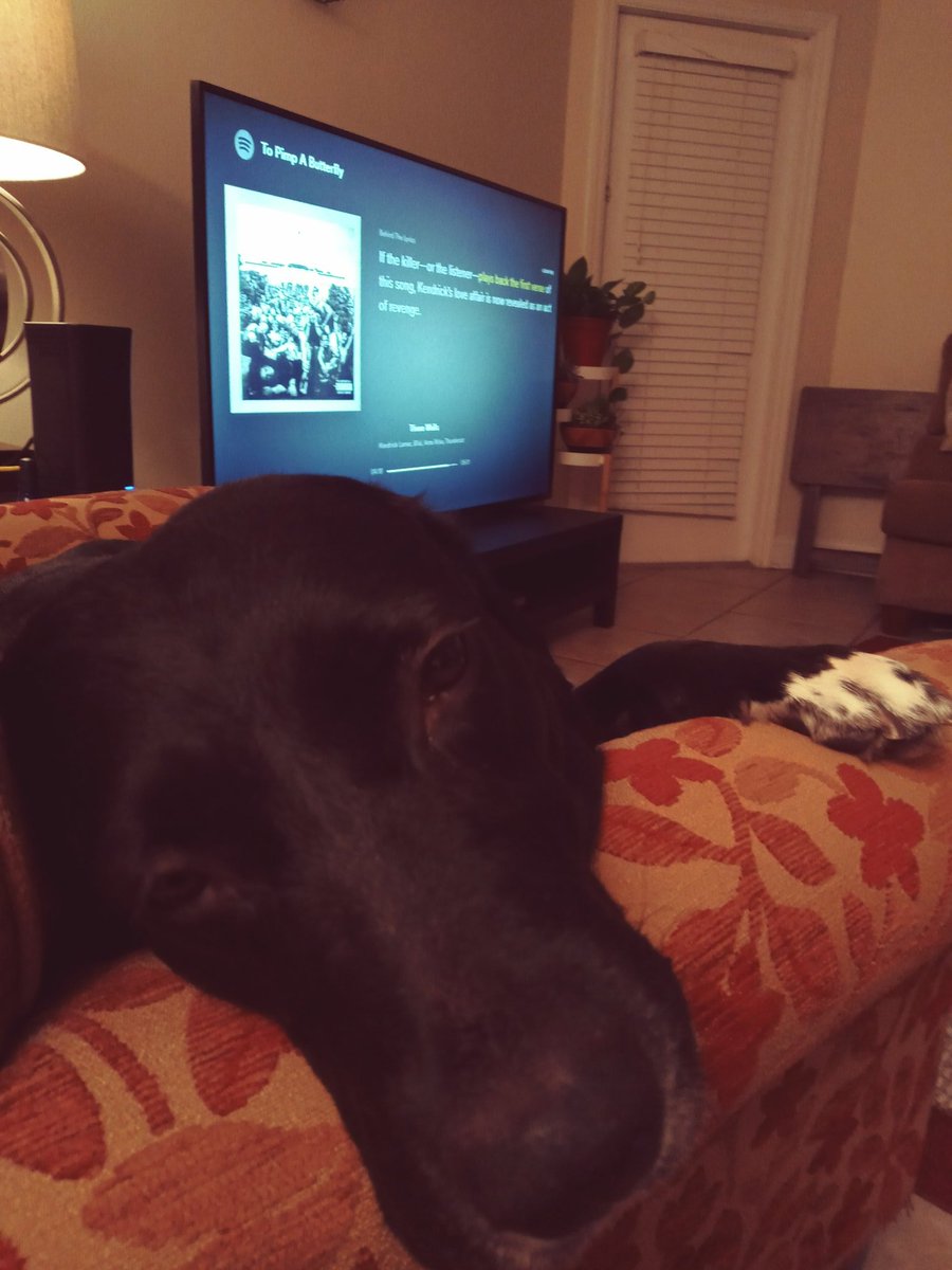 virus_da_cyrus's tweet image. Bruh