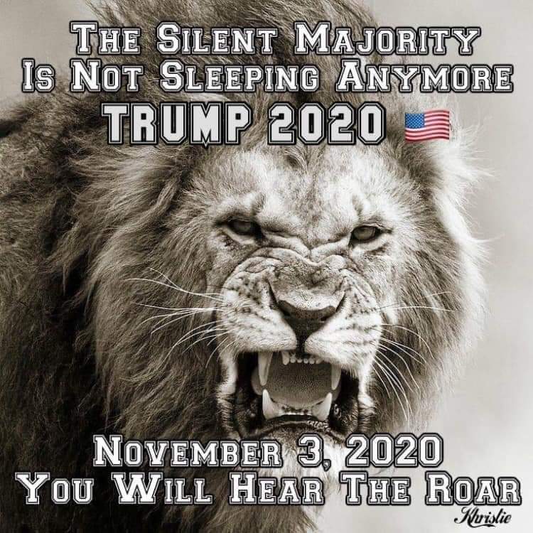 RedPill_Crusade's tweet photo. @realDonaldTrump #DoItQ+ https://t.co/9COHoi0O91