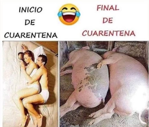 solcitomik