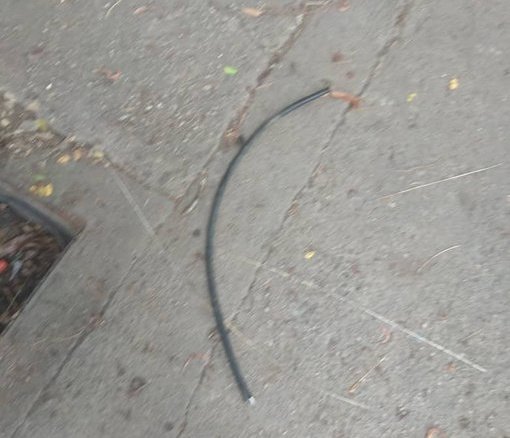 TiempoUC's tweet photo. @rediuc informa a la comunidad de la @UCarabobo que el vandalismo del cable de óptica registrado hoy #14Jul, afecta la conectividad y asociados en el Campus #Barbula, dejando sin servicio #IngenieríaUC, @facesuc1, @FaCE_UC, @facytuc_oficial, #FCJyP y #DIMAI
#LeeTiempoUC https://t.co/hyDjp43BSW