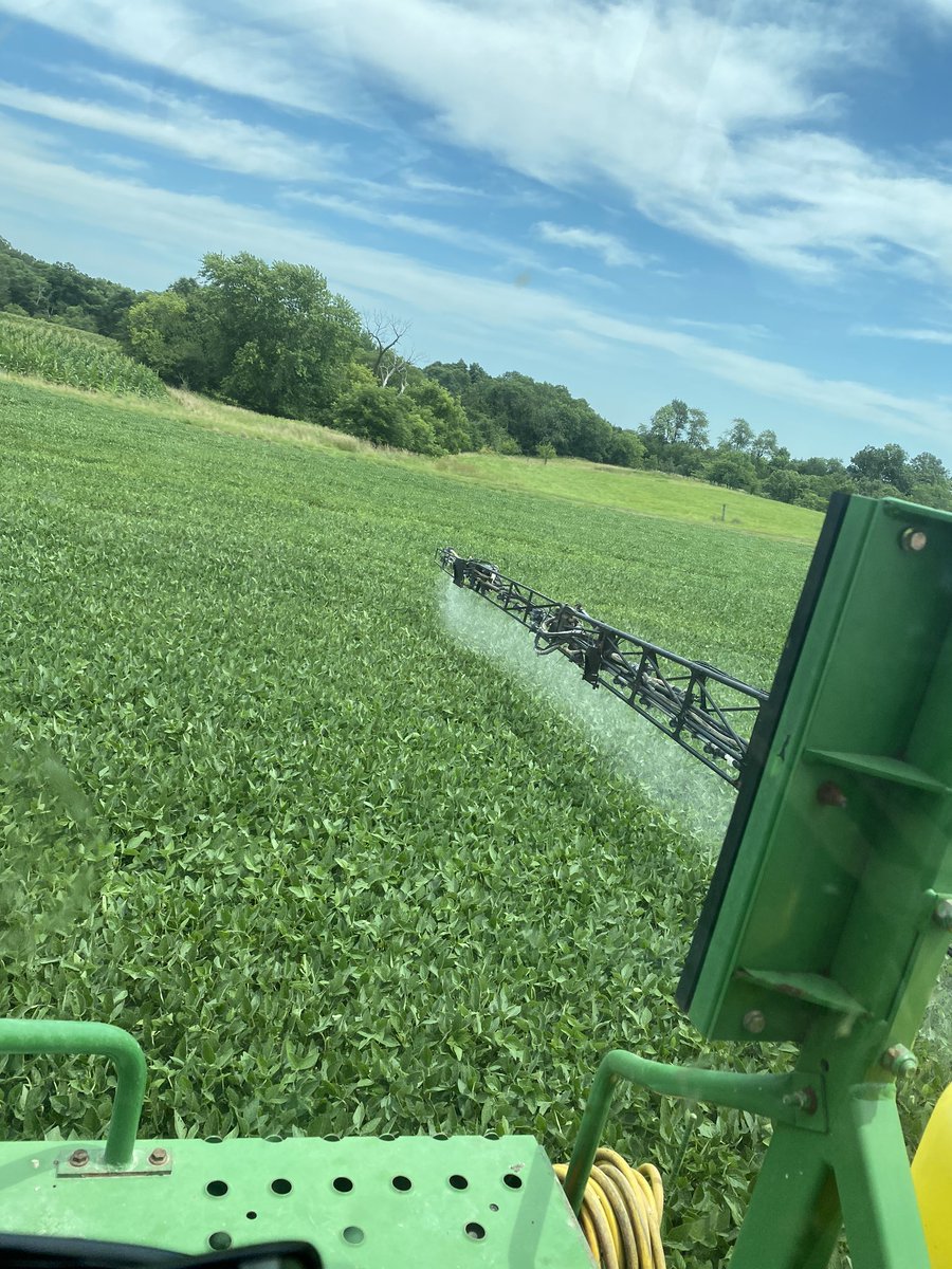YingWade96's tweet photo. Giving these early beans all the sauce!#pioneer #corteva #earlybeans https://t.co/MD91l3Ts8n
