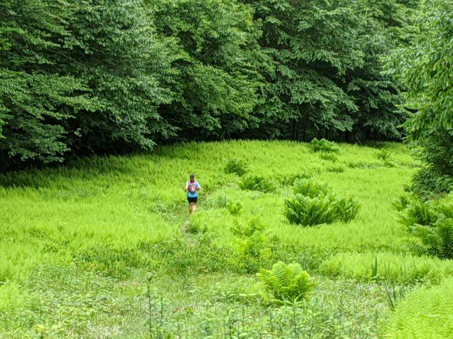 elevatingEBP's tweet photo. I really don't mind running in the rain bc it is what makes VT so green! #loveVT #runintherain https://t.co/jrLQatnMjm