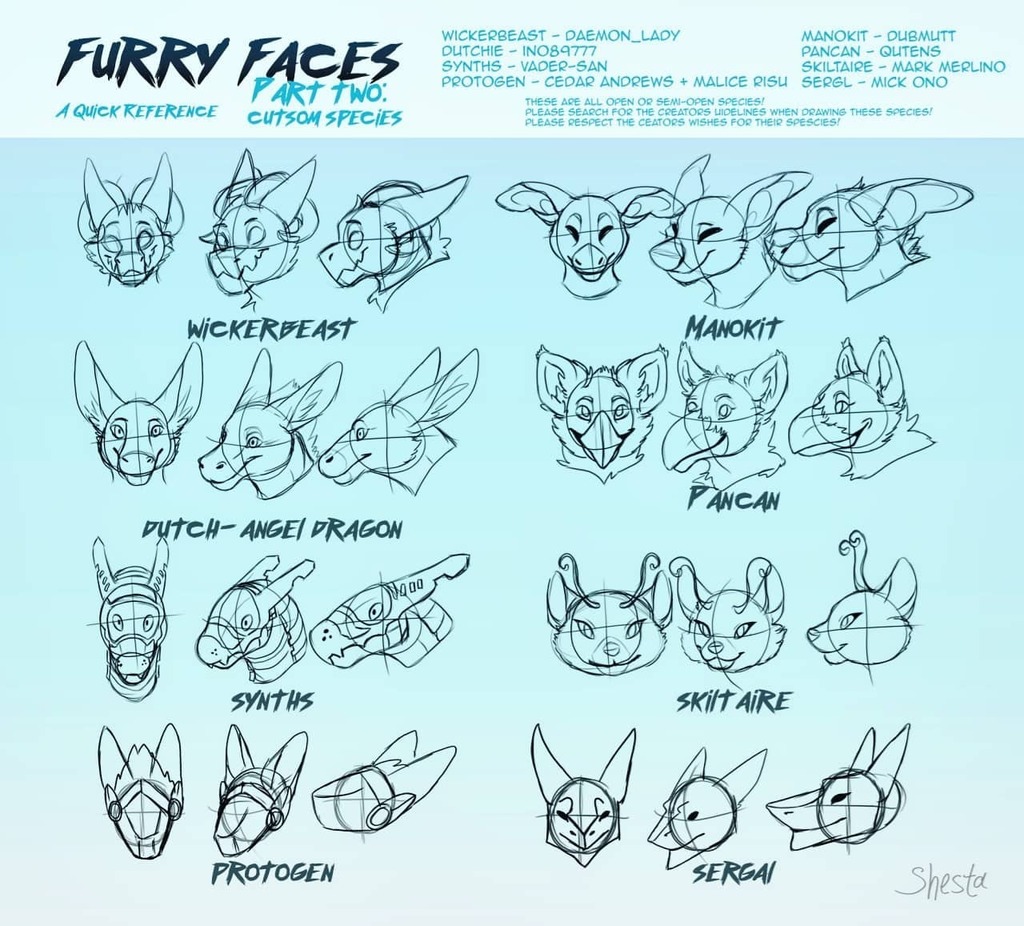 crittercoveart's tweet photo. Part 2 is now here!  Quick reference guide on custom species! ✨👏 Part 1 on profile.  #furryfandom #furryart #furryhowto #furrytutorial #howtodrawfurries #wickerbeast #dutchie #dutchangeldragon #synth #protogen #primagen #manokit #pancan #sergal #skiltaire #skiltare #openspec… https://t.co/vOuUusKgRG