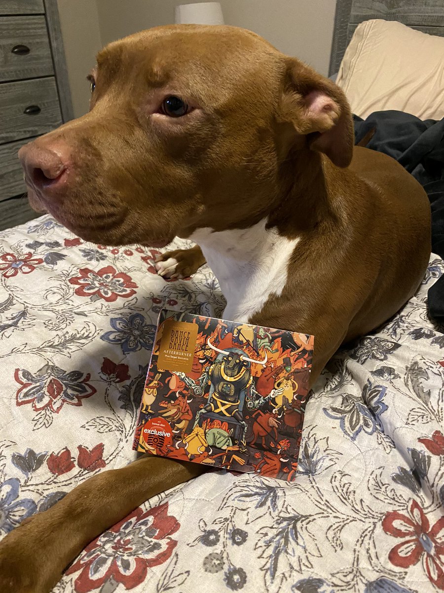 crobones's tweet photo. I love this album!! We need a @JonMess painting in our life. See you dudes next March in Florida!! @TimFeerick @tilianpearson @DGDtheband @matthew_mingus @therealwillswan #AfterburnerTarget #afterburner https://t.co/MPZImdH7pu