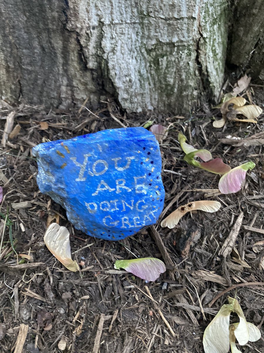 amyjoyce_words's tweet photo. Spotted on tonight’s walk. Thanks, kind neighbor. https://t.co/ReHHAynpHC