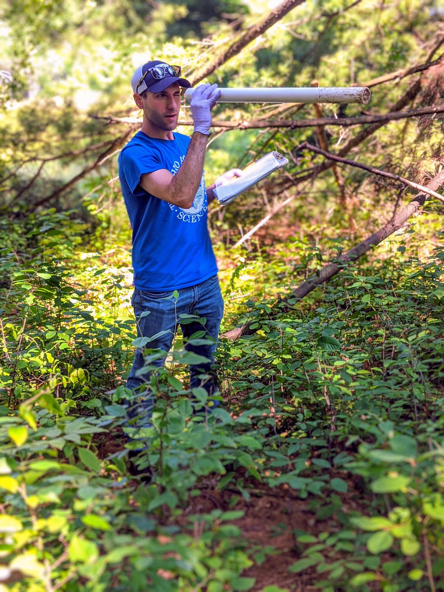 Matthew m (@Mattm1213) | Twitter