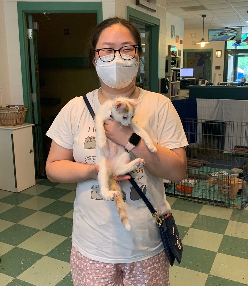 CatFoodBreath's tweet photo. Willard (the cute one) and Pearl (the other cute one) were named for two streets in my town.  They adopted new humans today at my awesome shelter (https://t.co/l0wD3BY59o).  
 #adopted #gotchaday #rescuerocks #kittenseason #vtpets #humanesociety #hsccvt #yourlocalhumanesociety https://t.co/hq5Vooq5SJ