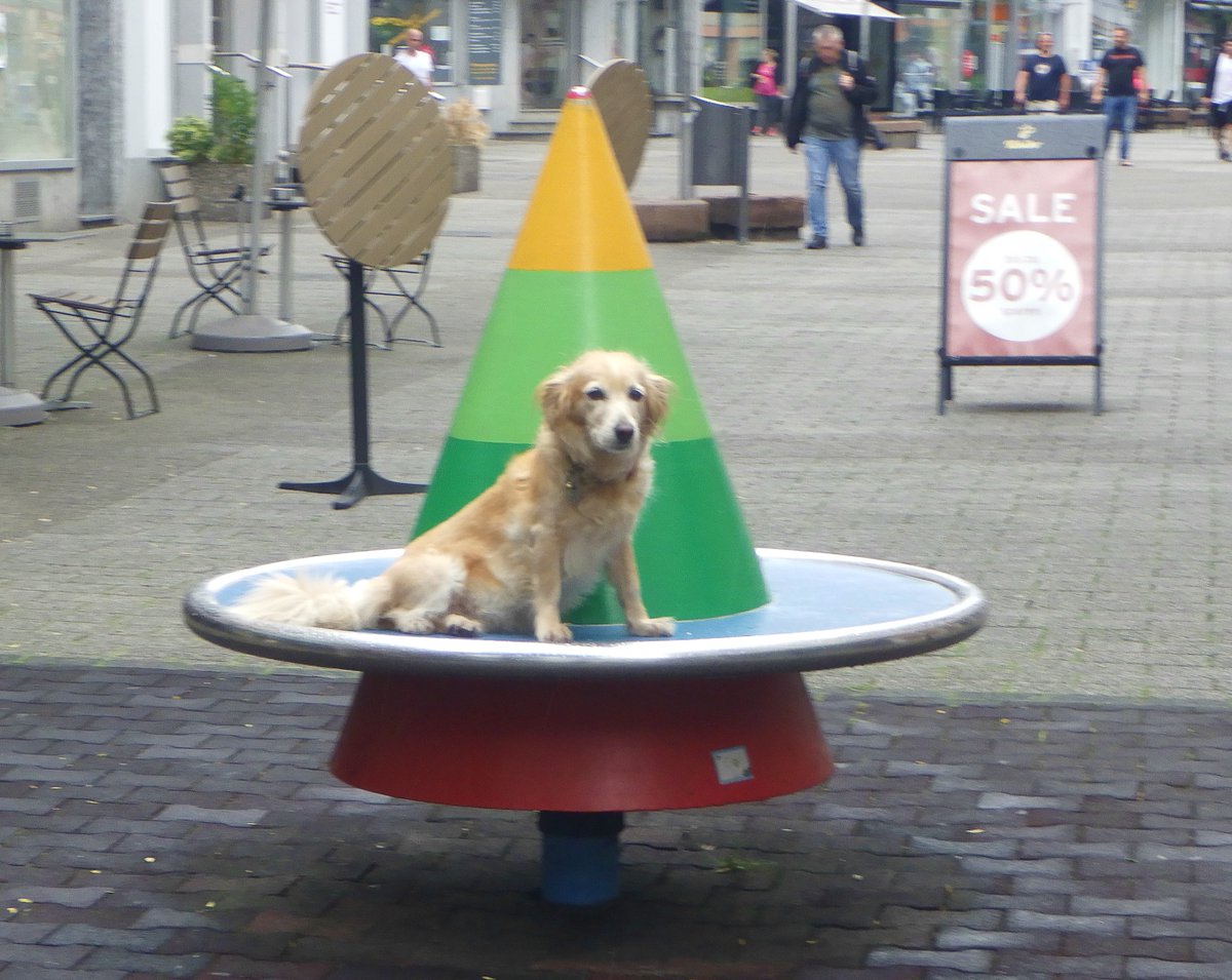 One last photo from today for y'all, actually a crop from the very first photo I tweeted in this thread. Here's that dog again, slowly twirling around on the spinner made for children.