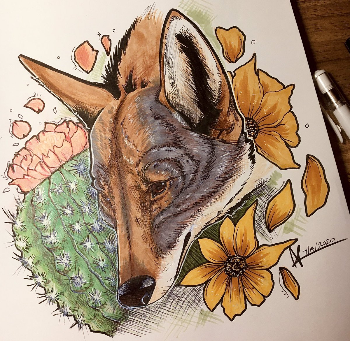 Cactus Flower 🌸 

#traditionalart #coyote #desertart #cactus #copicmarkers