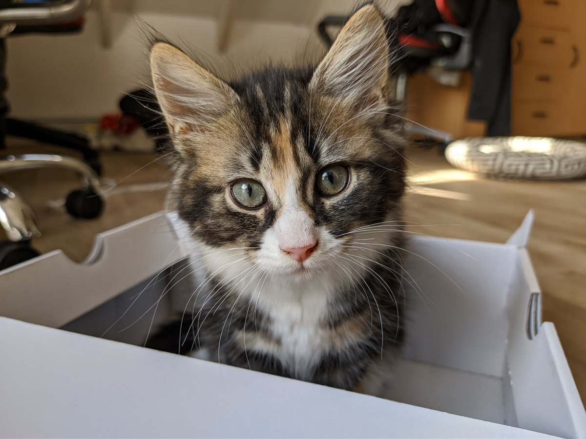 syntaxeks's tweet image. new profile pic