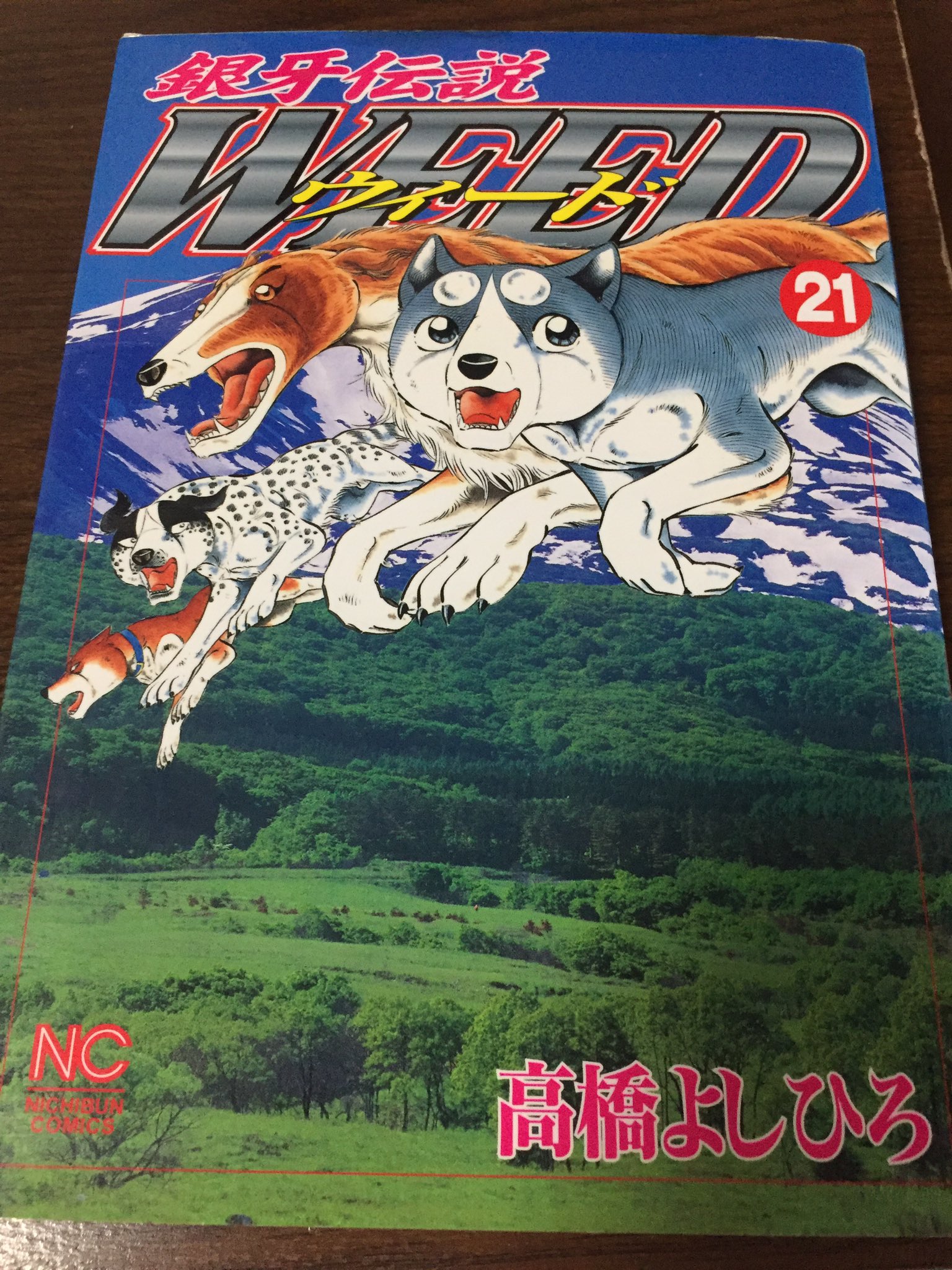本棚ポテト 銀牙伝説weed 9巻 高橋よしひろ ジョンの最期があまりに壮絶 アニメだと流石に内臓ngだったみたいだけど木に刺さるのもなかなかな気がする 手厚い埋葬してもらえてﾖｶｯﾀﾈ 親狩り 時代だね しみじみ いつの間に死んでた中虎 ｳｯ ﾅｼﾃ