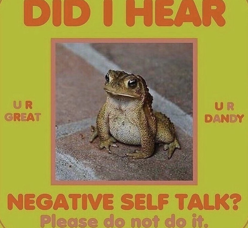 WholesomeMeme's tweet photo. https://t.co/QZIhBIaQGD